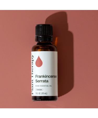 Plant Therapy Frankincense Serrata Essential Oil 100% Pure Undiluted Natural Aromatherapy Therapeutic Grade 30 mL (1 oz) - Buy Online on GoSupps.com