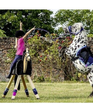 RL24 Real Leather Bridle for Wooden Horses | HKM Funny Horse Toys | Black Bridle with Reins for Children & Minishetty Accessories - Buy Online on GoSupps.com