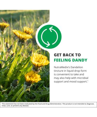 Nutramedix Dandelion Detox Support - Tincture for Liver Health + Gut Health + Antioxidant Support - Dandelion Leaf Liver Support Supplement for Daily Use (60ml) - Buy Online on GoSupps.com