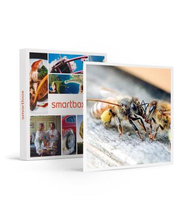 Smartbox - Gift Box - Beehive Sponsorship and Honey Extraction near Nantes with Products to Bring Home - Original Gift Idea