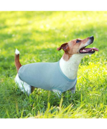 2-Pack Dog Clothing - Soft Cotton Sweaters & Shirts for Small Dogs & Cats | Air-Permeable T-Shirts for Chihuahuas & Large Breeds (Gray & Blue) - Buy Online on GoSupps.com
