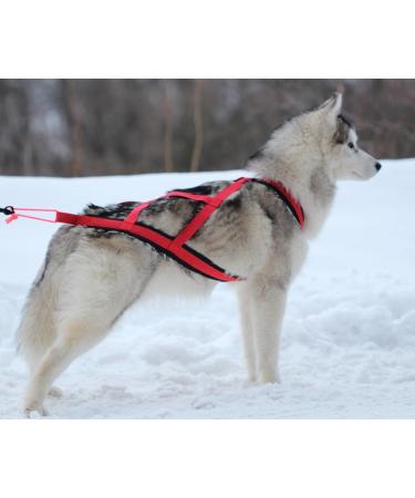 Buy Northern Howl X-Back Dog Harness for Canicross Bike Skijoring & Sled - Red XXXL | International Shipping Available - Buy Online on GoSupps.com