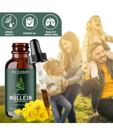 Mullein Leaf Extract for Lungs Mullein Drops Medlife Mullein Extract with Premium Mullein Leaf Extract Alcohol-Free Health Supplement Drops for Fast Absorption - Buy Online on GoSupps.com