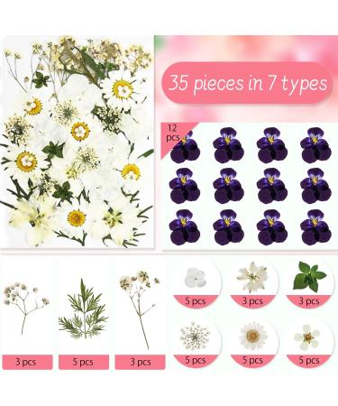135 Pcs Natural Dried Pressed Flowers & Leaves Set for DIY Resin Jewelry, Candle, Nail Art - White Blue Pink Daisy Decoration - Buy Online on GoSupps.com