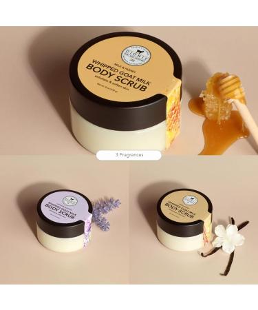 Dionis Goat Milk Whipped Body Scrub Milk & Honey 8oz (Pack of 1) Milk & Honey 8 Ounce (Pack of 1) - Buy Online on GoSupps.com