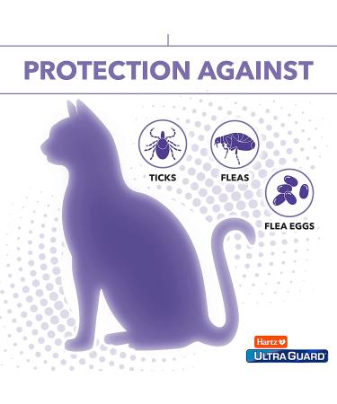 Hartz UltraGuard Plus Cat Flea & Tick Spray 8 oz - Fast-Acting Protection - Buy Online on GoSupps.com