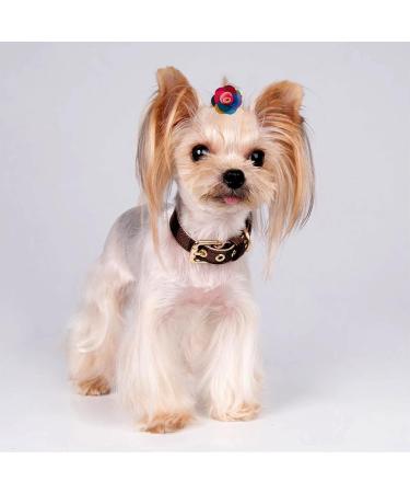 JpGdn 24 Pcs Dog Hair Bows Flowers with Rubber Bands Handmade Topknot Hair for Small Medium Puppy Doggies Kitten Cats Grooming Accessories - Buy Online on GoSupps.com