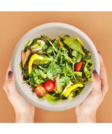 100 Pack 12oz Disposable Paper Bowls - Eco-Friendly Natural Bagasse, Heavy Duty Compostable Bowls for Parties & Catering - Buy Online on GoSupps.com