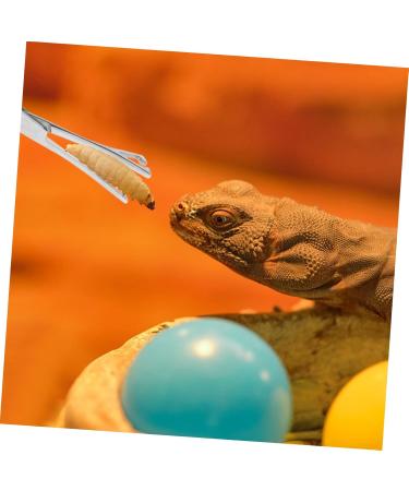 POPETPOP Reptile Feeding Clip Snake Tank Accessories Snake Tong Silver Stainless Steel - Buy Online on GoSupps.com