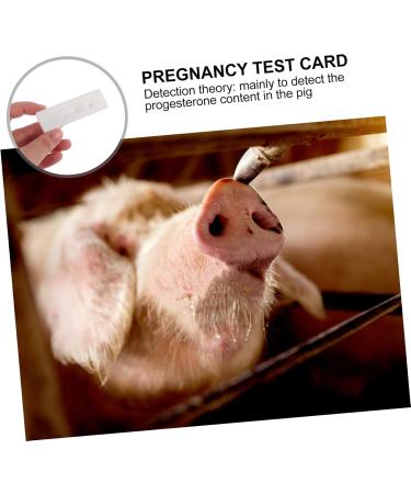 Iplusmile 4-Piece Animal Pregnancy Test Strips for Pigs | Agricultural Supplies | Farm Animal Pregnancy Testing Tool - Buy Online on GoSupps.com