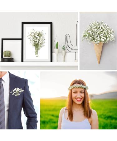 Dried Babys Breath Flowers - 200 White Real Gypsophila for Wedding, Resin Art, Craft, DIY - Natural Pressed Floral Decor - Buy Online on GoSupps.com