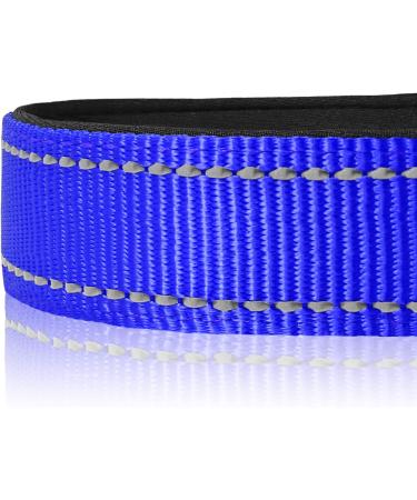 Buy Joytale Reflective Dog Collar for Small Dogs - Royal Blue (Pack of 1) | International Shipping Available - Buy Online on GoSupps.com