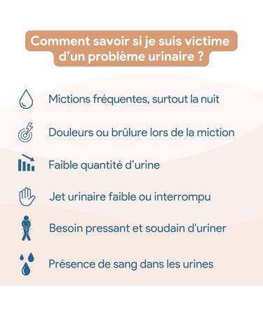 Prostatex Urinary comfort & BPH | Prostate | Natural and vegan formula with Saw palmetto Nettle Squash seed Miniature palm Pygeum africanum African plum Made in France - 120 capsules - Buy Online on GoSupps.com