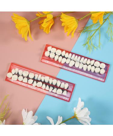 68-Piece Halloween Fake Teeth Set | Complete Acrylic Resin Denture Kit for Horror Props and DIY Models - 6 Sets Included | A2 Color - Buy Online on GoSupps.com
