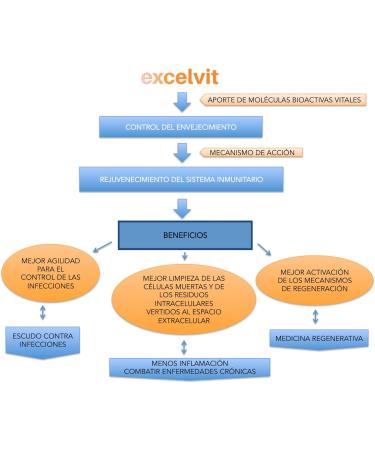 EXCELVIT EXCELVIT BEAUTY 60cap. g lules qui facilitent la suppl mentation quotidienne recommand en compl ment d une alimentation quilibr e bo te de 60 g lules et convient ceux qui privil gient - Buy Online on GoSupps.com