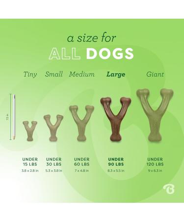Benebone Wishbone Real Chicken Medium Dog Chew Toy | Durable & Ideal for Aggressive Chewers - International Shipping Available - Buy Online on GoSupps.com