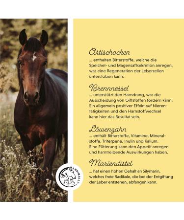 Annimally Liver Kidney Liquid for Horses - 1000ml Herbal Juice with Dandelion & Artichoke for Healthy Metabolism - Buy Online on GoSupps.com