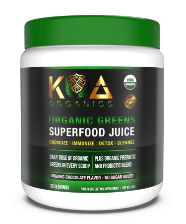 Greens Superfood Juice Powder - USDA Organic Super Greens Powder with with Spirulina Chlorella Matcha Wheat Grass Digestive Enzymes & Probiotics - Chocolate Flavor -30 Serv 8.47 Ounce (Pack of 1)