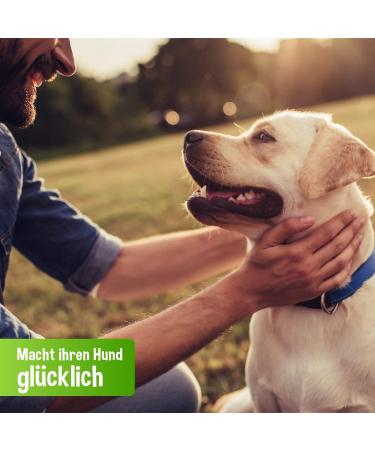 Schecker - 100% PUR Duck - Wet Dog Food - 6 x 410 g - Grain Free - Canned Food - Dog Food - Buy Online on GoSupps.com