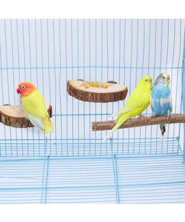 Reyshin 4-Piece Nature Birds Budgie Playground & Nibble Toys | Bird Accessories with 5 Rat Balls for Canaries & Lovebirds - Buy Online on GoSupps.com