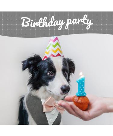 Kuoser Dog Tuxedo Bandana with Bow Tie | Formal Wedding Attire for Pets | Adjustable Costume for Small, Medium, Large Dogs | Grey - Buy Online on GoSupps.com