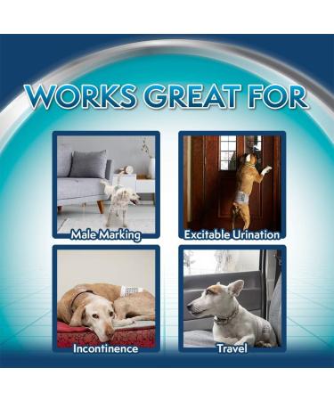 Simple Solution Disposable Dog Diapers Super Absorbent & Leak-Proof Fit for XS Dogs | Manage Incontinence & Urination Issues - Buy Online on GoSupps.com