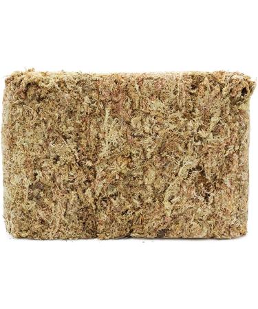 Buy Terra Exotica Sphagnum Moss (3x1 Kg) - Premium Peat Moss for Garden Houseplants & Terrariums - International Shipping Available - Buy Online on GoSupps.com