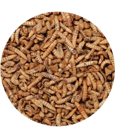 Living World Green Gourmet Toppers - Insects - 125 g (4.4 oz) - Buy Online on GoSupps.com