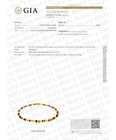 Baltic Amber Unisex Necklace - Cognac Raw, 14 Inches - Knotted, Raw Beads (1 Pack) - Buy Online on GoSupps.com