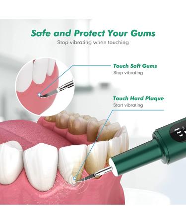 Electric Rechargeable Plaque Remover with LED Light - Teeth Cleaning Kit for Adults - Oral Care at Home - Green (3 Replacement Heads) - Buy Online on GoSupps.com