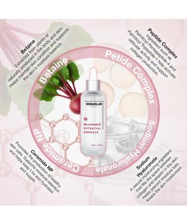 DERMISLAB Rejuvenate Potential Ampoule Korean Skincare Collagen + Hyaluronic Acid Firming & Hydrating Serum for Smooth Youthful-Looking Skin | Lightweight Daily Facial Ampoule 130 ml / 4.40 oz - Buy Online on GoSupps.com