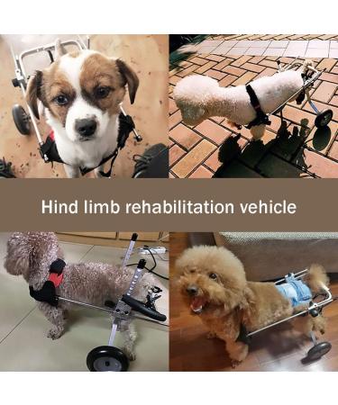 Dog Wheelchair for Back Legs Dog Wheelchair Adjustable Stainless Steel Cart Pet Wheelchair/cat Dog Wheelchair Hind Leg Rehabilitation for Handicapped Dog(XXXS) - Buy Online on GoSupps.com