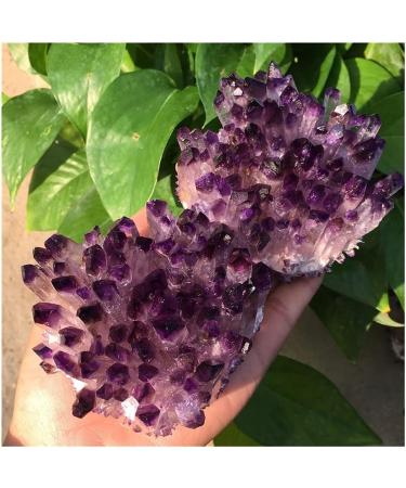 Collection Natural Crystals Quartz Amethust Cluster Freeform Energy Reiki Stones Room Home Office Aquarium Decoration Accessories Gemstone (Size : 400-450g) - Buy Online on GoSupps.com