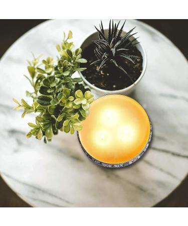 McNory Citronella Candle - 100% Soy Wax Scented Tin Candle 425g for Outdoor & Indoor Use - Perfect for Garden Repellent - Buy Online on GoSupps.com