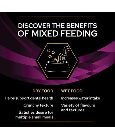 Pro Plan Veterinary Diets UR Urinary Wet Cat Food Salmon 10x85g Salmon 85 g (Pack of 1) - Buy Online on GoSupps.com