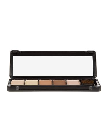 Profusion Cosmetics Contour Kit - 5 Color Palette Highlight Bronzer Makeup with Brush - Buy Online on GoSupps.com