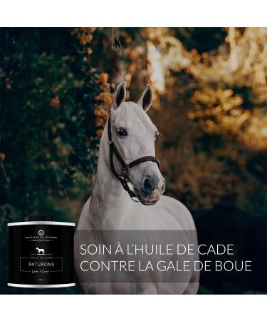 Distillerie des C vennes - Cade Oil for Horses - Pastern Care - 500g - The Only 100% Manufactured and Distilled Oil - Buy Online on GoSupps.com
