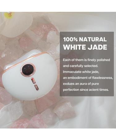 Vraiko Aurora Gua Sha Facial Tools | Electric Anti-Aging Massager with Heat & Vibration for Facelift Wrinkle & Swelling Reduction - Buy Online on GoSupps.com