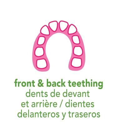 green sprouts Silicone Teethers (2 Pack) | Soothes Gums & Promotes Healthy Oral Development | Aqua Teething Toys - Buy Online on GoSupps.com