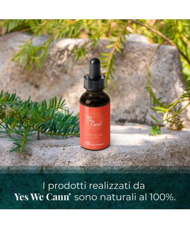 CBD Oil 10% Body Moisturizer 10 ml With Antioxidant Soothing and Regenerating Properties - Cruelty Free - 100% Natural Pure and Vegan - Yes We Cann - Buy Online on GoSupps.com