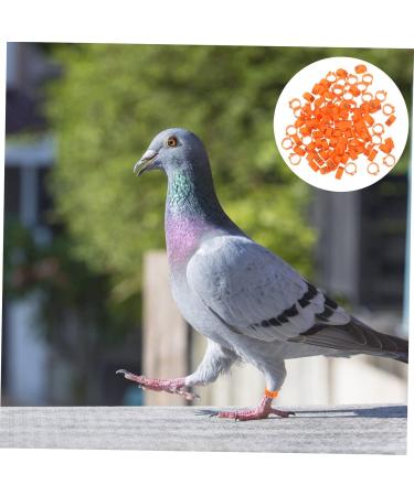 Amosfun 100 Pcs Pigeon Anklet Ring Protector Pigeon Foot Band Clip Foot Ring for Pigeon Baby Xuan Feng Cuff 1.3X1.3CM Orange - Buy Online on GoSupps.com