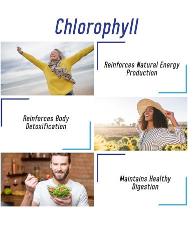 Organic Chlorophyll Capsules 200mg - Energy Support & Detox - 200 Count - Buy Online on GoSupps.com