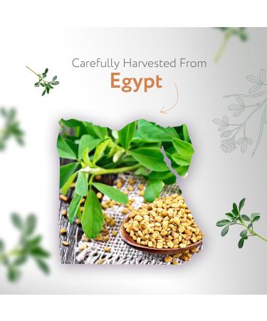 HBNO Fenugreek Oil - Huge 32 oz (960 ml) Value Size - Ideal for Shampoos Soaps Diffusers Lotions and Skin Care Products Fenugreek 32 Fl Oz (Pack of 1) - Buy Online on GoSupps.com