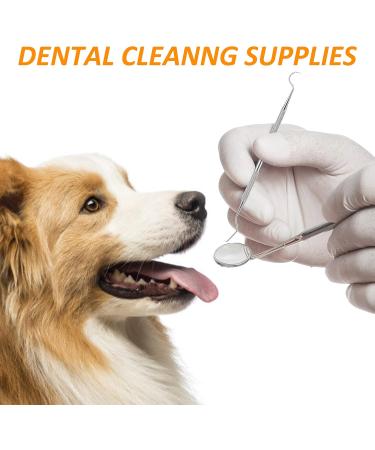 Tartar Remover Dog Tooth Cleaning Kit | Stainless Steel Dental Care Set | 5-Piece Tooth Cleaning Tool for Pets with Metal Case - Buy Online on GoSupps.com