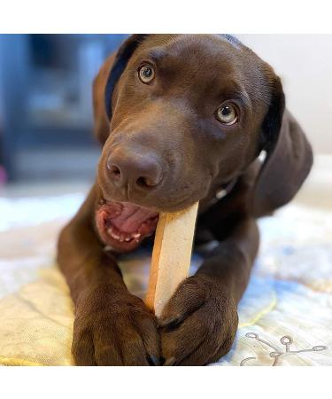 Himalayan Dog Chew - Cheese Flavor 3.3 oz for Dogs 55 lbs & Under | Himalayan Pet Supply - Buy Online on GoSupps.com