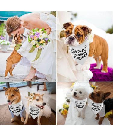 White My Humans are Getting Married Dog Wedding Engagement Bandana Wedding Photo Photos LMSHOWOWO Dog Bandana Wedding Engagement Announcement Gifts Pet Scarf Accessories for Dog Lovers Bridal Shower Black - Buy Online on GoSupps.com