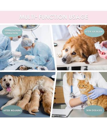 Recovery Suit for Dogs | Postoperative Wound Protection & Licking Prevention | Pink Cactus Size M - Buy Online on GoSupps.com