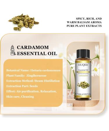 EUQEE Cardamom Essential Oil 10ml Pure Natural Cardamom Oils Aromatherapy Essential Oils for Diffusers for Home Relax Humidifiers Cardamom 10.00 ml (Pack of 1) - Buy Online on GoSupps.com