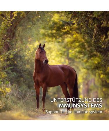 AniForte Coat Strength for Horses 1.5 kg Shiny & Resistant Bristle for Mane and Tail Vital Skin Supports Hair Growth & Metabolism Rich in Vitamin C - Buy Online on GoSupps.com