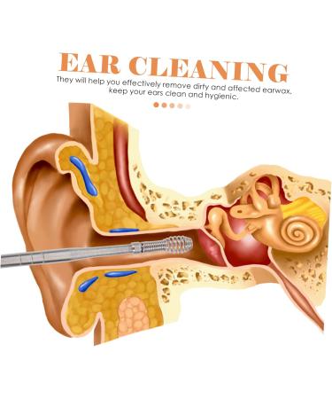 FRCOLOR 12 Sets Ear Pick Cleaner Kit - Stainless Steel Ear Wax Remover & Earpick Portable Assorted Colors - Buy Online on GoSupps.com